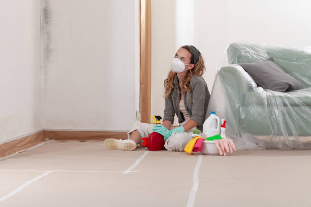 Reliable Attic Mold Removal contractor in Hines, OR by WQB Mold Removal